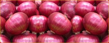 Red Fresh Onion